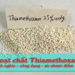 Hoạt chất Thiamethoxam là gì? – Shop Thuốc Diệt Côn Trùng